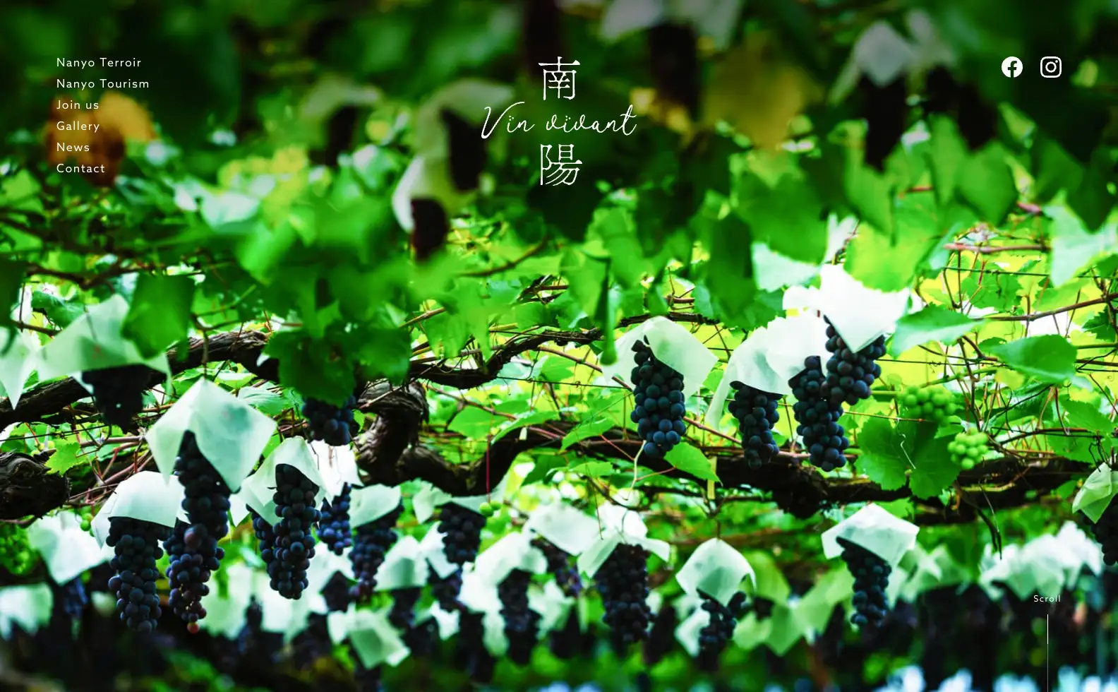 南陽Vin vivant プロダクトサイトの画像