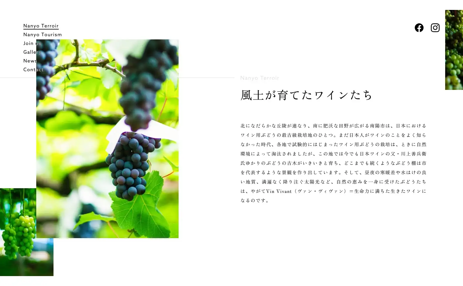 南陽Vin vivant プロダクトサイトの画像