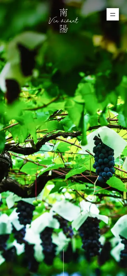 南陽Vin vivant プロダクトサイトの画像