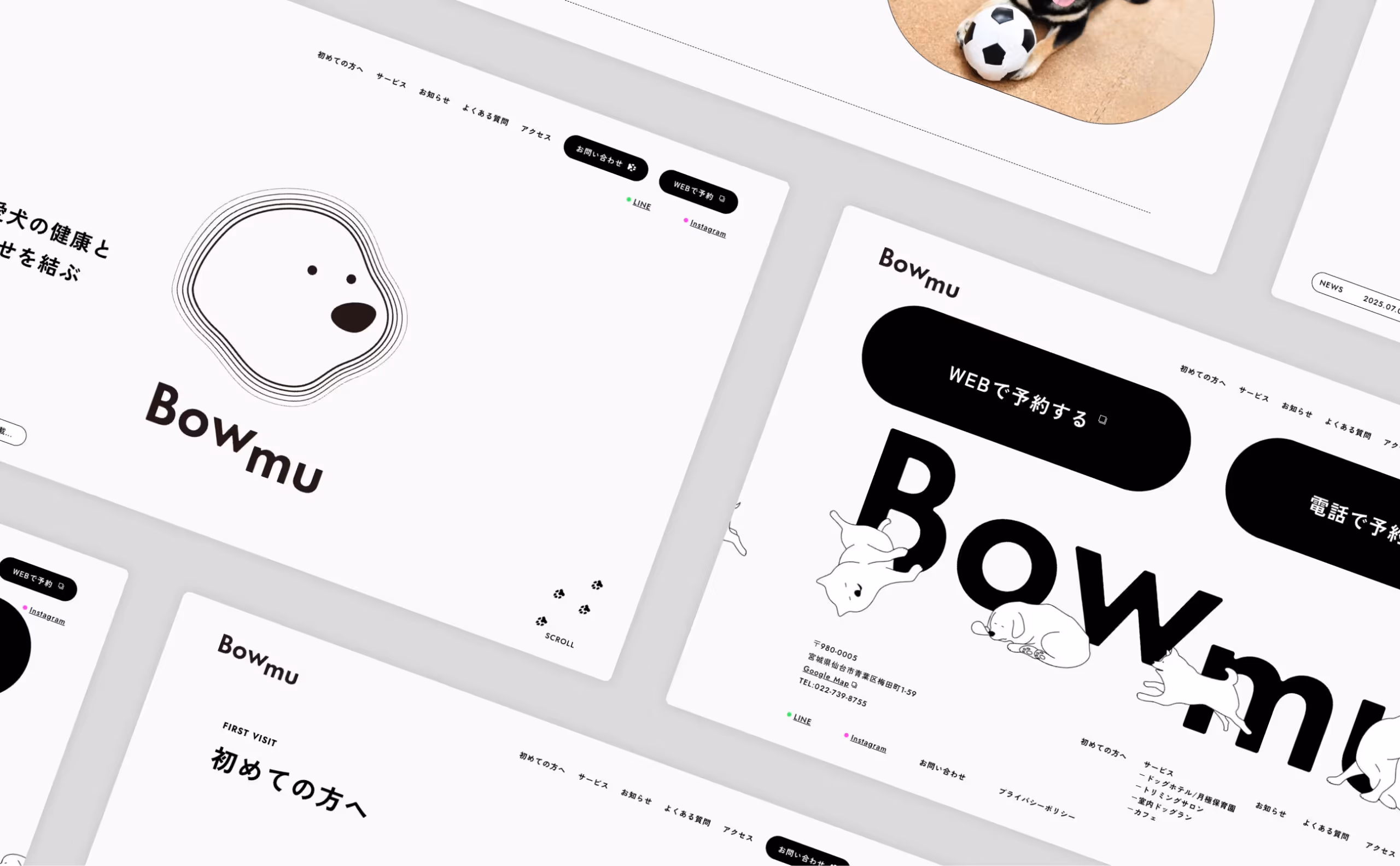 Bowmu ブランディングのイメージ画像
