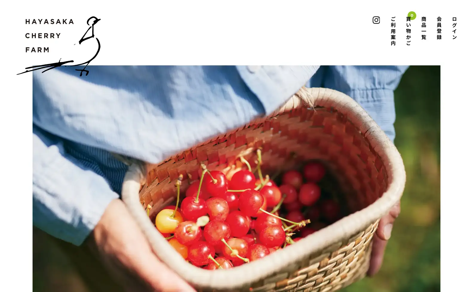 早坂さくらんぼ園 オフィシャルサイトの画像