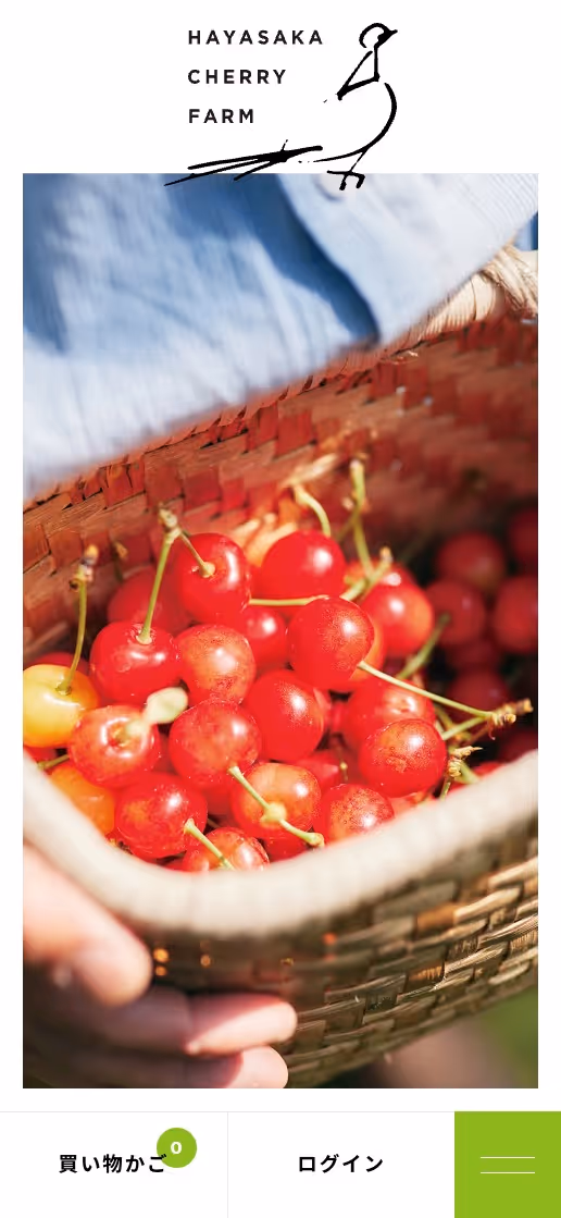 早坂さくらんぼ園 オフィシャルサイトの画像