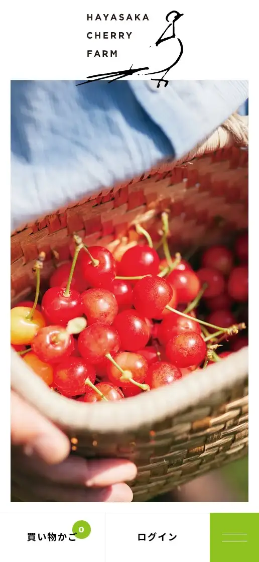 早坂さくらんぼ園 オフィシャルサイトの画像