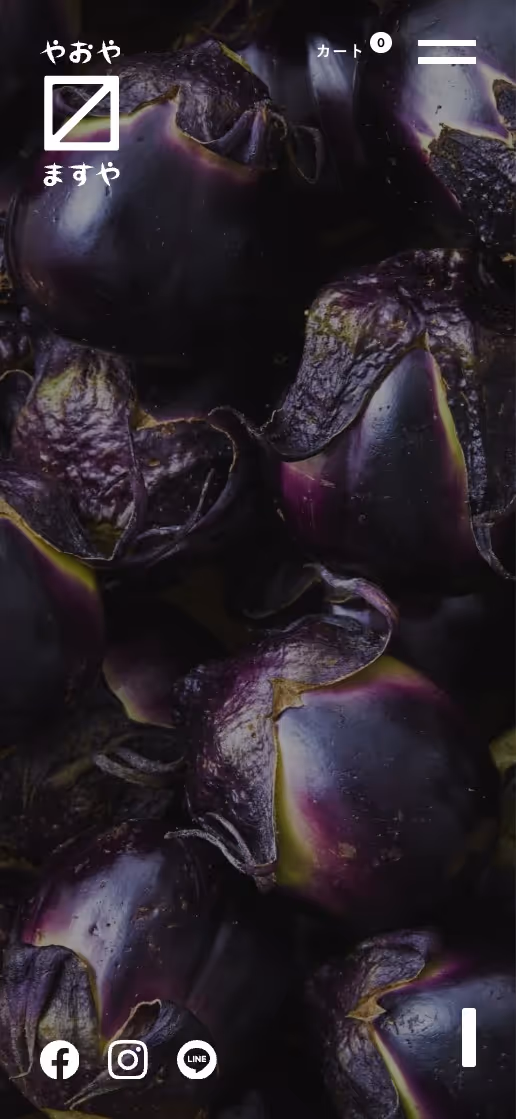 桝屋商店 オフィシャルサイトの画像